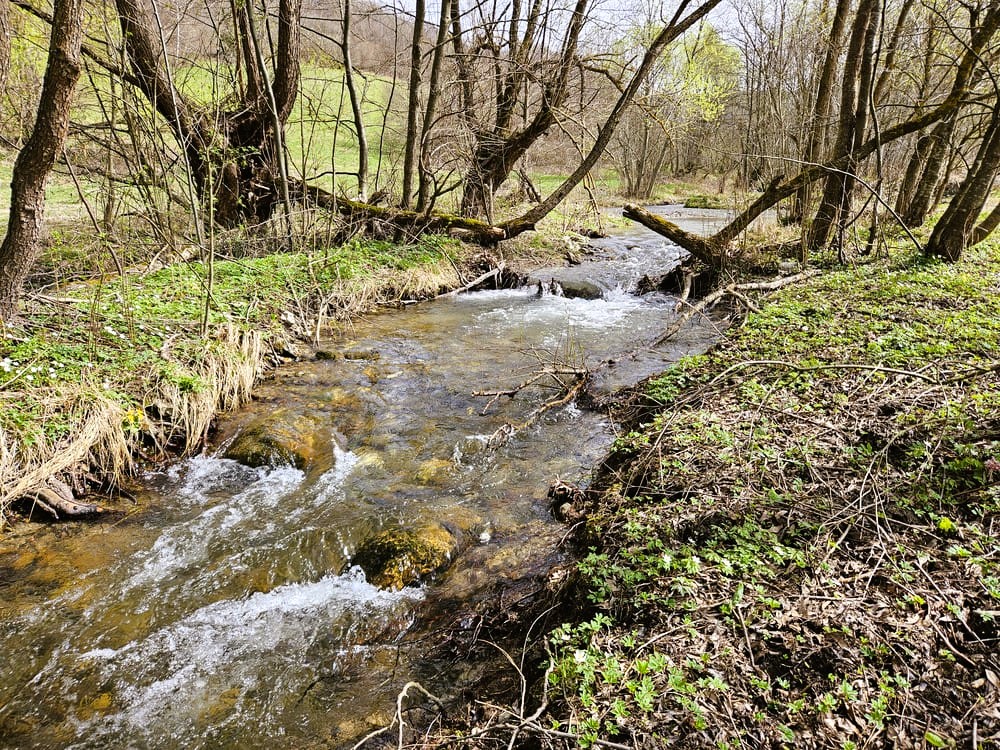 Kojšovský potok